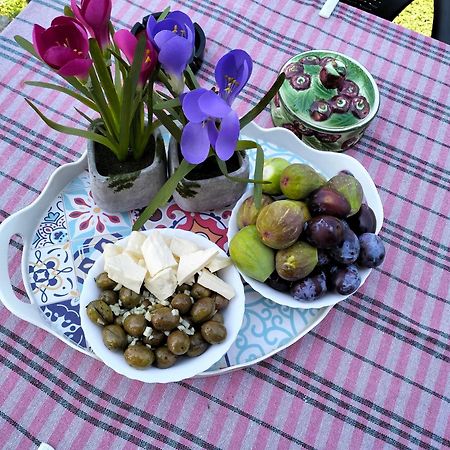 Olive Apartment Подгорица Экстерьер фото
