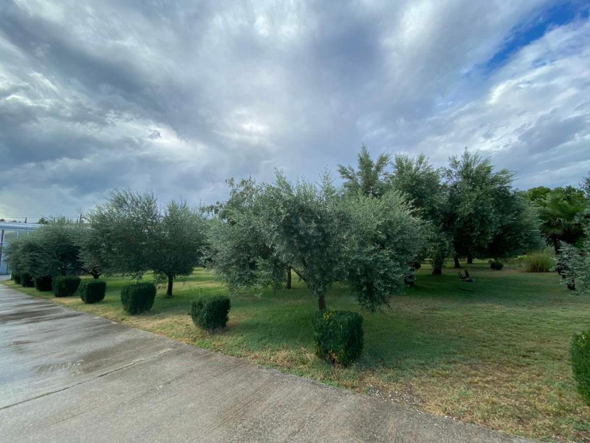 Olive Apartment Подгорица Экстерьер фото