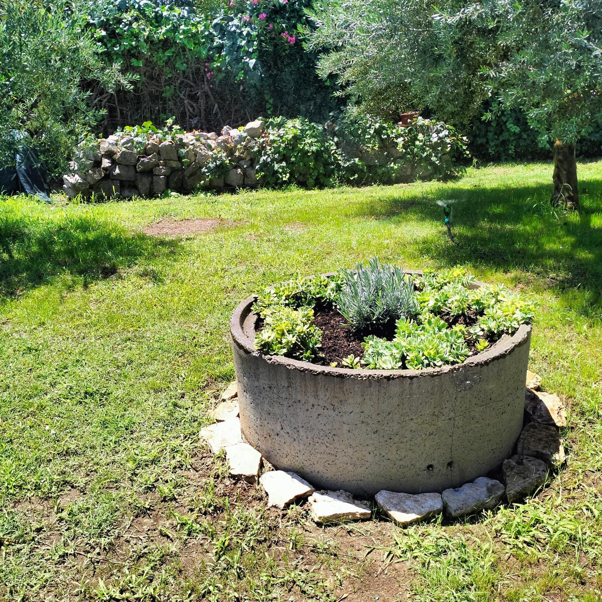 Olive Apartment Подгорица Экстерьер фото