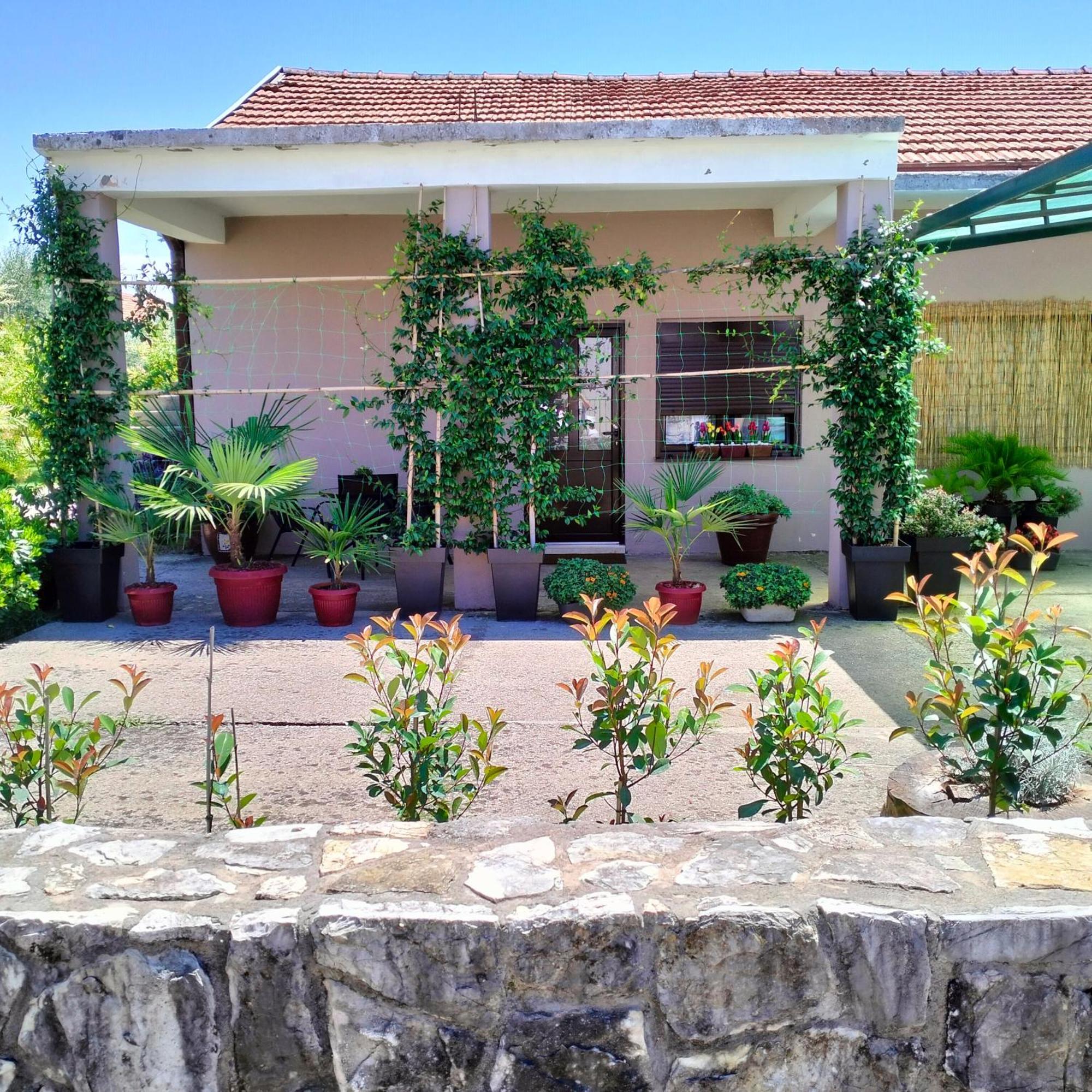Olive Apartment Подгорица Экстерьер фото