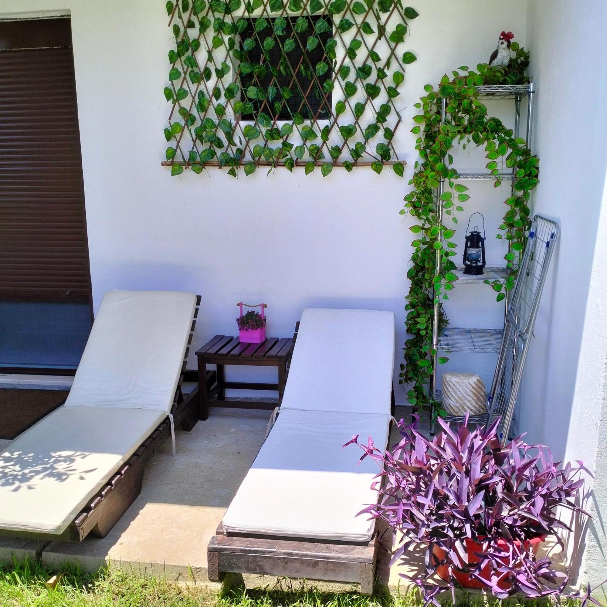 Olive Apartment Подгорица Экстерьер фото